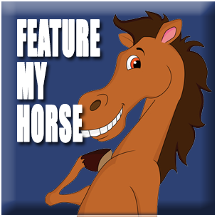 Feature My Horse