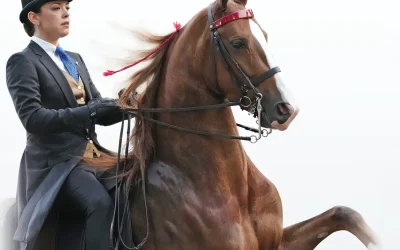 WC A CHRISTMAS PRAYER – SOLD!