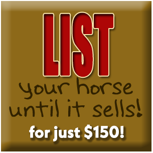 List your horse until it sells, including all revisions & updates!